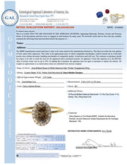 Emilia Oval Cut Champagne Diamond Engagement Ring Appraisal