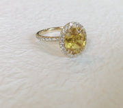A video of the Gia ring by Dana Walden Bridal. Yellow oval sapphire with white diamond halo in yellow gold.