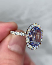 Video of lavender sapphire engagement ring with white diamond halo. DANA WALDEN BRIDAL.