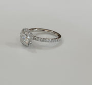 Primrose Seamless Diamond Halo Engagement Ring