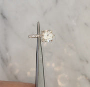 Video of a diamond solitaire engagement ring set in white gold. Hidden halo of secret diamonds. Handmade by Dana Walden Jewelry.
