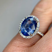 Vivienne blue-gray sapphire oval engagement ring with white diamond halo and micro pave band. DANA WALDEN BRIDAL NYC.