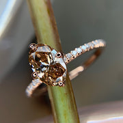 1.1ct Oval Champagne Diamond Engagement Ring with Skinny Micro-Pave Band and NSEW Compass Prongs  in Rose Gold by Dana Walden Bridal