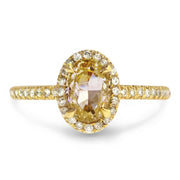 Yellow diamond halo engagement ring set in yellow gold. DANA WALDEN BRIDAL. 