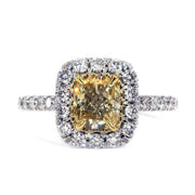 Caterina light yellow diamond engagement ring with white diamond halo and micro pave band. By Dana Walden Bridal New York City.