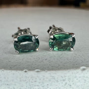 Abina 1ctw Oval Teal Sapphire Stud Earrings in White Gold